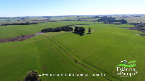 VAI DA BR PARA A FAZENDA.00_02_12_16.Quadro021_8e13273c284cffaf9bc354760d3a15a70f39225c.jpg